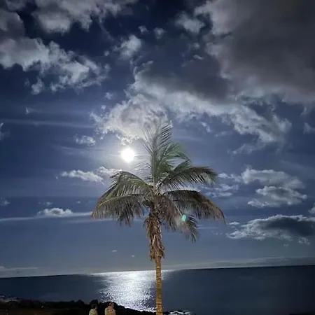 Lejlighed One Bedroom Playa Bastian